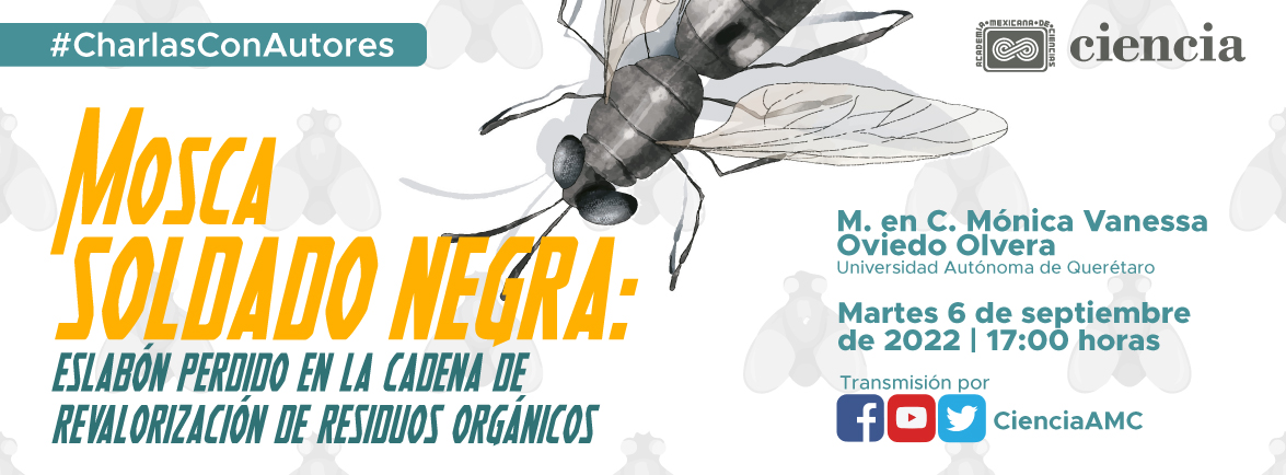 Mosca soldado negra: eslabón perdido en la cadena de revalorización de residuos orgánicos