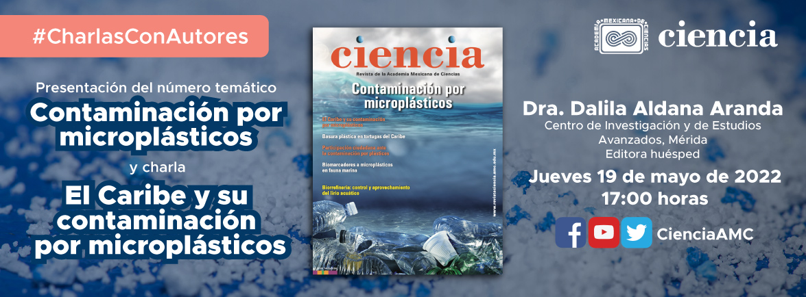 El Caribe y su contaminación por microplásticos