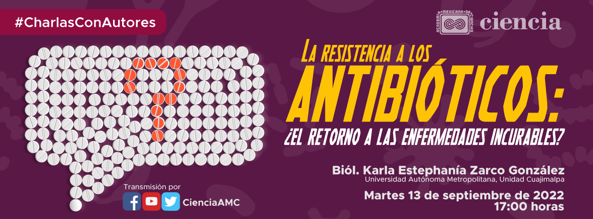 La resistencia a los antibióticos: ¿el retorno a las enfermedades incurables?